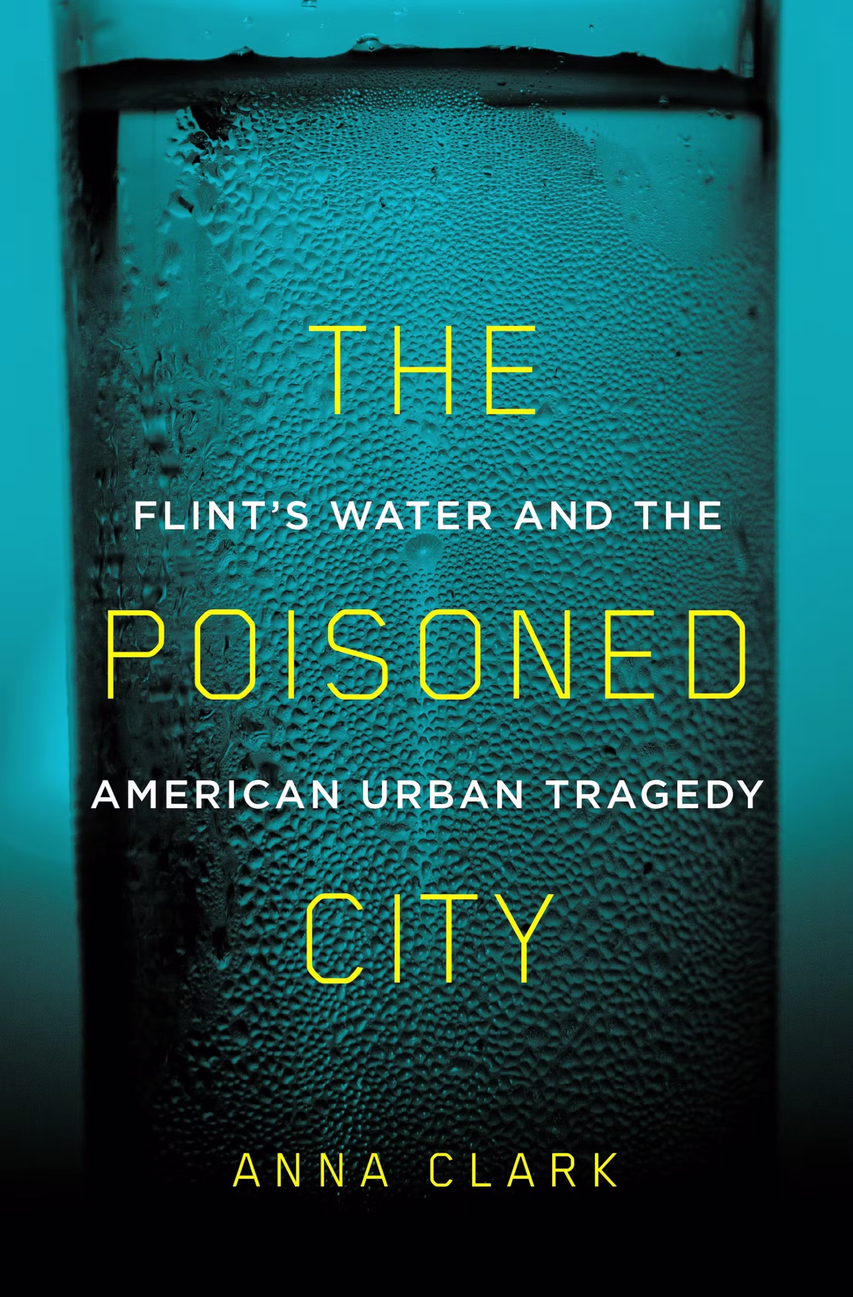 Accountability in the Flint Water Crisis