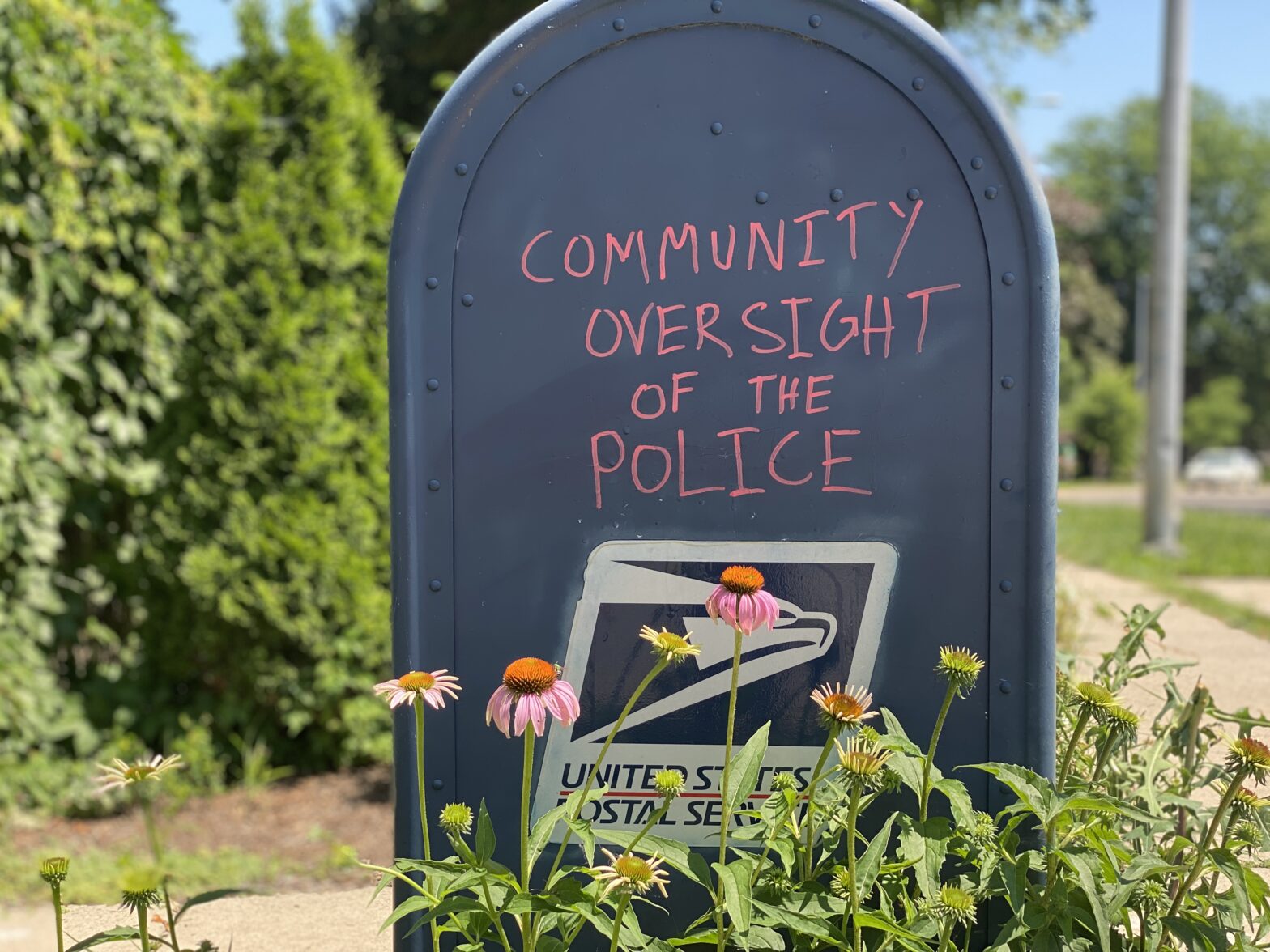 Community oversight